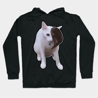 Emo Cat Hair Flip meme Hoodie